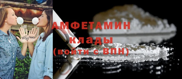 молекула духа Коряжма