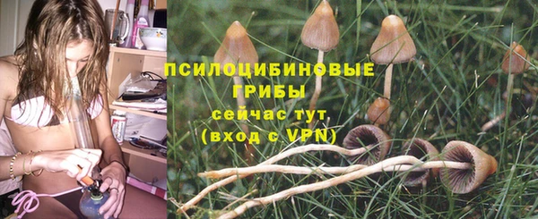 ешки Костерёво