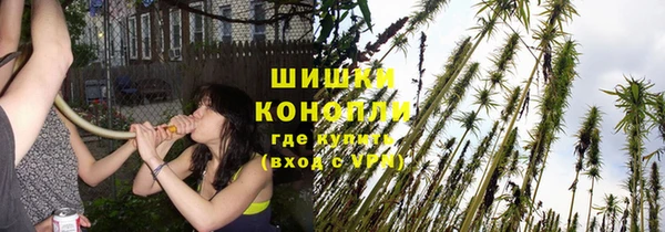 молекула духа Коряжма