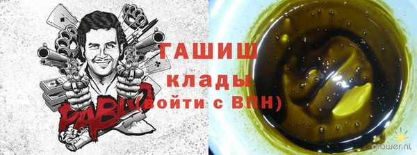 молекула духа Коряжма