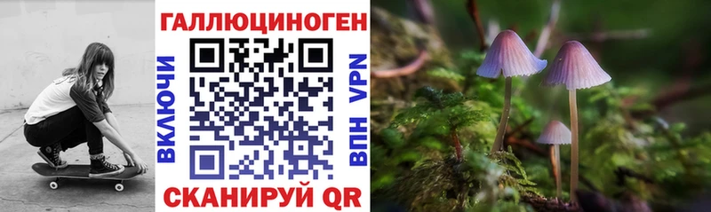 что такое наркотик  Благовещенск  Псилоцибиновые грибы мицелий 